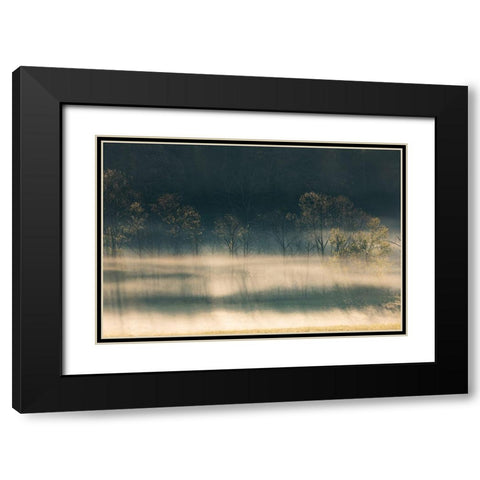 Foggy meadow at sunrise-Cades Cove-Smoky Mountains National Park-Tennessee Black Modern Wood Framed Art Print with Double Matting by Jones, Adam