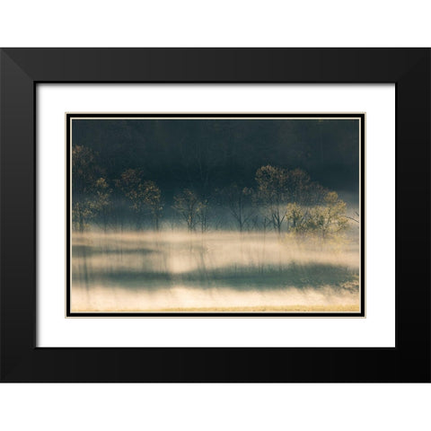 Foggy meadow at sunrise-Cades Cove-Smoky Mountains National Park-Tennessee Black Modern Wood Framed Art Print with Double Matting by Jones, Adam
