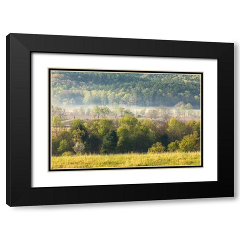 Foggy meadow at sunrise-Cades Cove-Smoky Mountains National Park-Tennessee Black Modern Wood Framed Art Print with Double Matting by Jones, Adam
