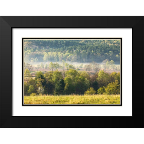 Foggy meadow at sunrise-Cades Cove-Smoky Mountains National Park-Tennessee Black Modern Wood Framed Art Print with Double Matting by Jones, Adam