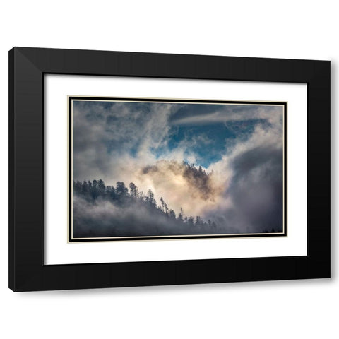 Mist and sunlight in the mountains-Great Smoky Mountain National Park-Tennessee Black Modern Wood Framed Art Print with Double Matting by Jones, Adam