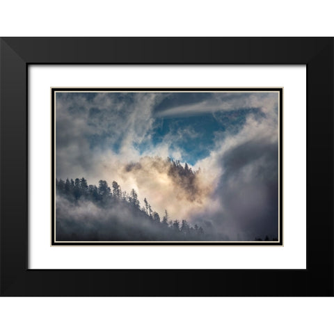 Mist and sunlight in the mountains-Great Smoky Mountain National Park-Tennessee Black Modern Wood Framed Art Print with Double Matting by Jones, Adam