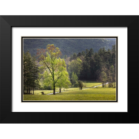 Loop road through Cades Cove passing beneath trees-Great Smoky Mountains National Park Black Modern Wood Framed Art Print with Double Matting by Jones, Adam