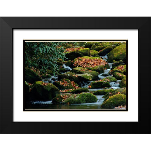 Water Falling over Boulders on Roaring Fork Motor Nature Trail Black Modern Wood Framed Art Print with Double Matting by Miller, Anna