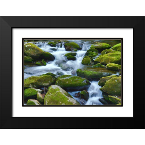 Water Falling over Boulders on Roaring Fork Motor Nature Trail Black Modern Wood Framed Art Print with Double Matting by Miller, Anna