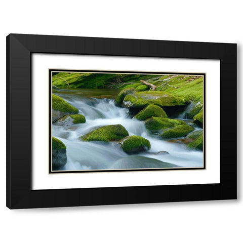 Water Falling over Boulders on Roaring Fork Motor Nature Trail Black Modern Wood Framed Art Print with Double Matting by Miller, Anna