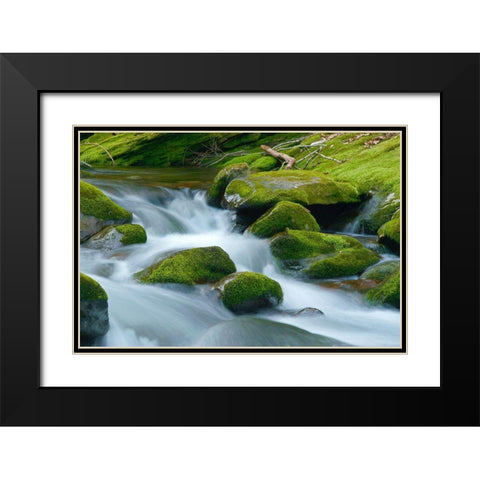 Water Falling over Boulders on Roaring Fork Motor Nature Trail Black Modern Wood Framed Art Print with Double Matting by Miller, Anna
