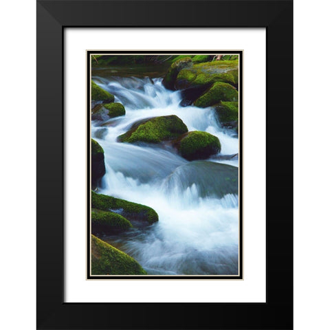 Water Falling over Boulders on Roaring Fork Motor Nature Trail Black Modern Wood Framed Art Print with Double Matting by Miller, Anna