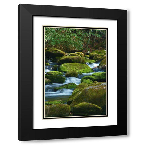 Water Falling over Boulders on Roaring Fork Motor Nature Trail Black Modern Wood Framed Art Print with Double Matting by Miller, Anna