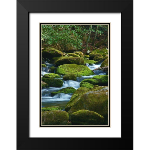 Water Falling over Boulders on Roaring Fork Motor Nature Trail Black Modern Wood Framed Art Print with Double Matting by Miller, Anna