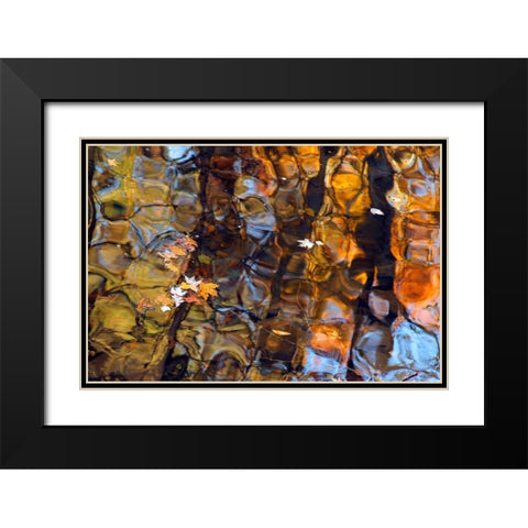 Reflections in Smoky Mountain Creek-Tennessee-USA Black Modern Wood Framed Art Print with Double Matting by Miller, Anna