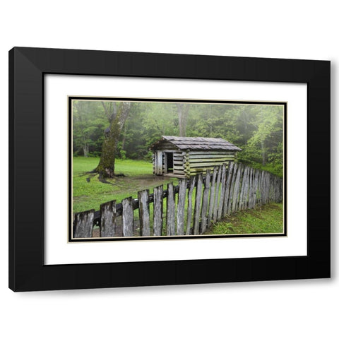 TN, Great Smoky Mts Fence and abandoned cabin Black Modern Wood Framed Art Print with Double Matting by Flaherty, Dennis