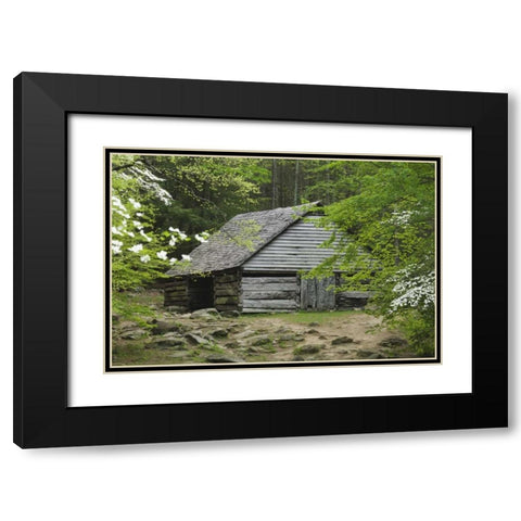 TN, Great Smoky Mts Abandoned log stable Black Modern Wood Framed Art Print with Double Matting by Flaherty, Dennis