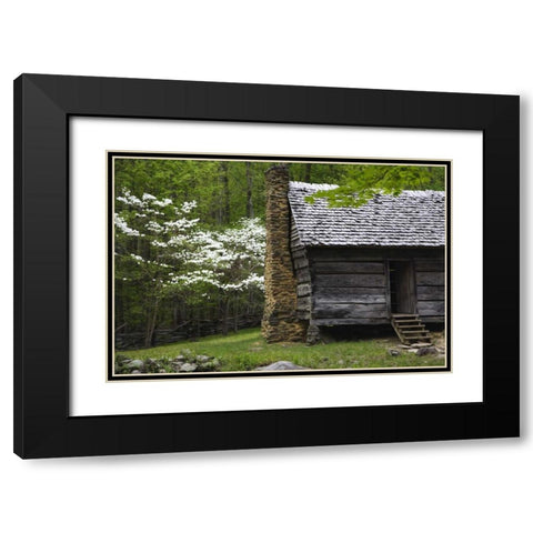 TN, Great Smoky Mts Log cabin and blooming trees Black Modern Wood Framed Art Print with Double Matting by Flaherty, Dennis