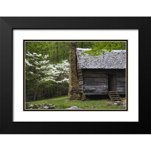 TN, Great Smoky Mts Log cabin and blooming trees Black Modern Wood Framed Art Print with Double Matting by Flaherty, Dennis