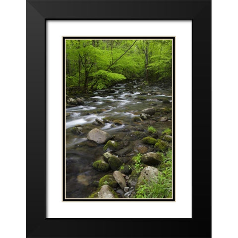 TN, Great Smoky Mts Mountain stream and trees Black Modern Wood Framed Art Print with Double Matting by Flaherty, Dennis