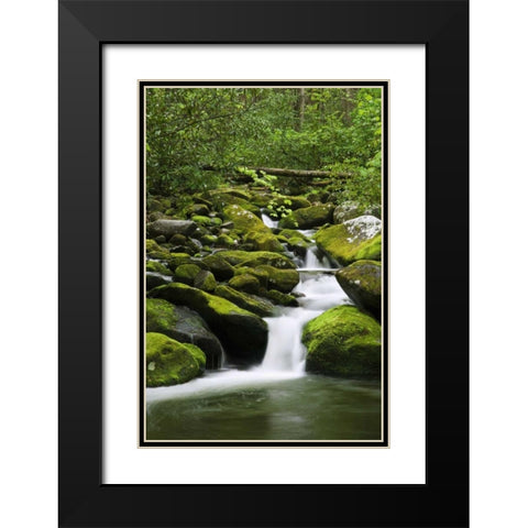 TN, Great Smoky Mts Stream cascades under bridge Black Modern Wood Framed Art Print with Double Matting by Flaherty, Dennis