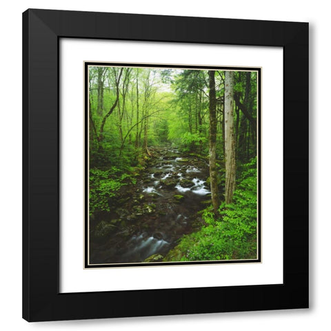 Tennessee, Stream in The Great Smoky Mts Black Modern Wood Framed Art Print with Double Matting by Talbot Frank, Christopher