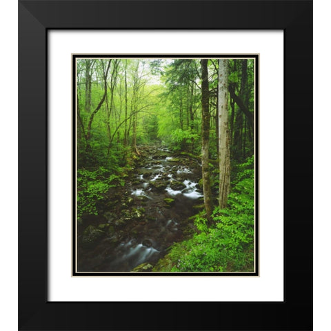 Tennessee, Stream in The Great Smoky Mts Black Modern Wood Framed Art Print with Double Matting by Talbot Frank, Christopher