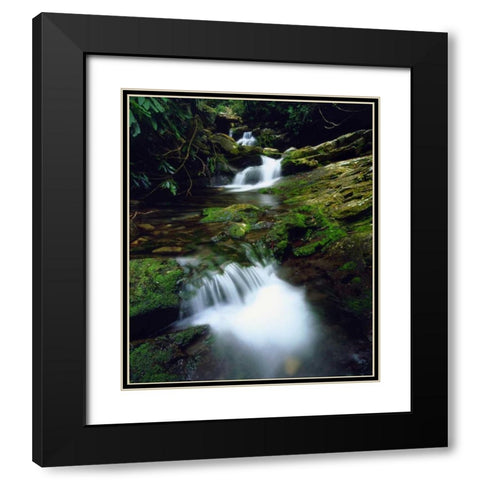 Tennessee, Stream in The Great Smoky Mts Black Modern Wood Framed Art Print with Double Matting by Talbot Frank, Christopher