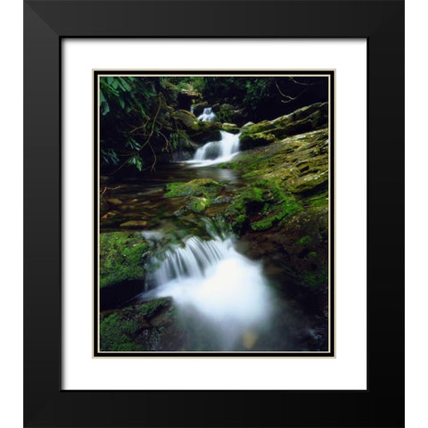 Tennessee, Stream in The Great Smoky Mts Black Modern Wood Framed Art Print with Double Matting by Talbot Frank, Christopher