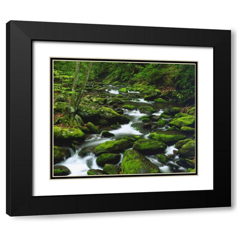 Tennessee, Stream in The Great Smoky Mts Black Modern Wood Framed Art Print with Double Matting by Talbot Frank, Christopher