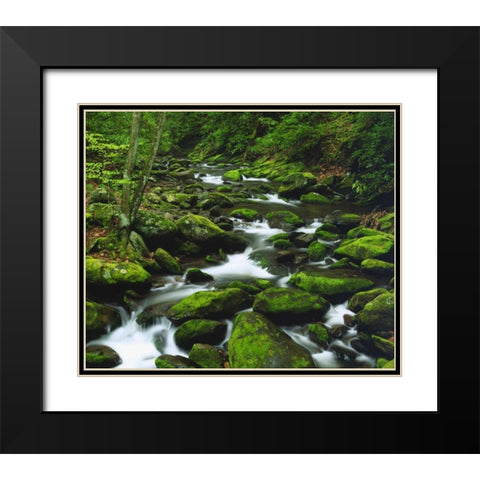 Tennessee, Stream in The Great Smoky Mts Black Modern Wood Framed Art Print with Double Matting by Talbot Frank, Christopher
