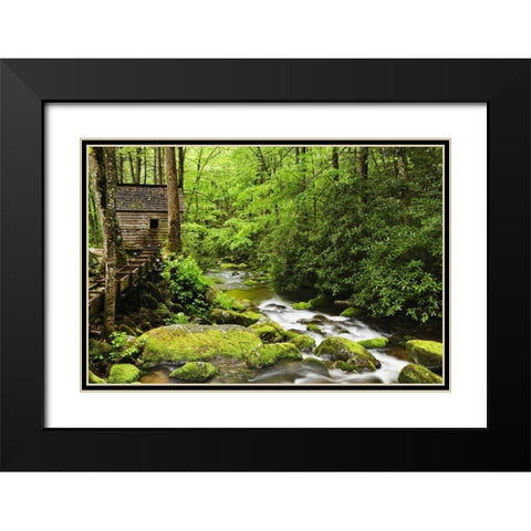 TN The Tub Mill along the Roaring Fork creek Black Modern Wood Framed Art Print with Double Matting by Flaherty, Dennis