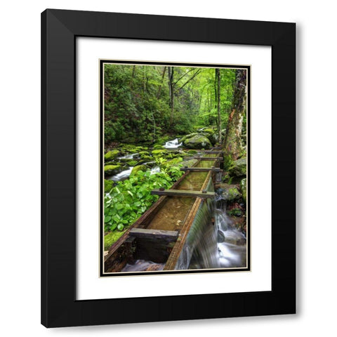 TN, Great Smoky Mts View of the Tub Mill flume Black Modern Wood Framed Art Print with Double Matting by Flaherty, Dennis