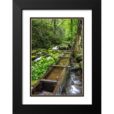 TN, Great Smoky Mts View of the Tub Mill flume Black Modern Wood Framed Art Print with Double Matting by Flaherty, Dennis