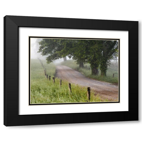 Tennessee, Great Smoky Mts A road in Cades Cove Black Modern Wood Framed Art Print with Double Matting by Flaherty, Dennis