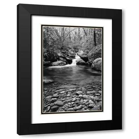 TN, Great Smoky Mts Cascading creek and pool Black Modern Wood Framed Art Print with Double Matting by Flaherty, Dennis