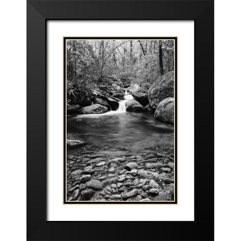 TN, Great Smoky Mts Cascading creek and pool Black Modern Wood Framed Art Print with Double Matting by Flaherty, Dennis