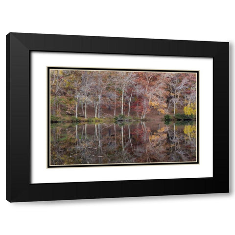 TN, Cumberland Mountain SP Byrd Lake, Tennessee Black Modern Wood Framed Art Print with Double Matting by Paulson, Don