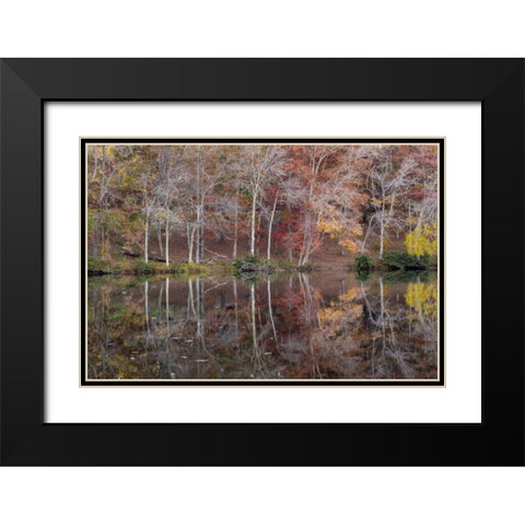 TN, Cumberland Mountain SP Byrd Lake, Tennessee Black Modern Wood Framed Art Print with Double Matting by Paulson, Don