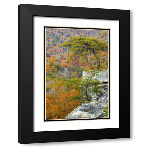 TN, Fall Creek Falls SP Buzzards Roost Black Modern Wood Framed Art Print with Double Matting by Paulson, Don