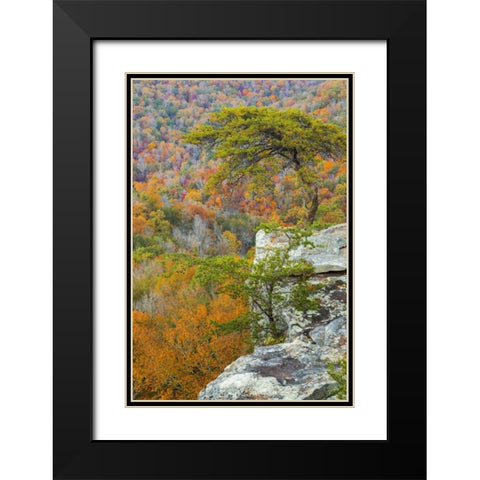 TN, Fall Creek Falls SP Buzzards Roost Black Modern Wood Framed Art Print with Double Matting by Paulson, Don