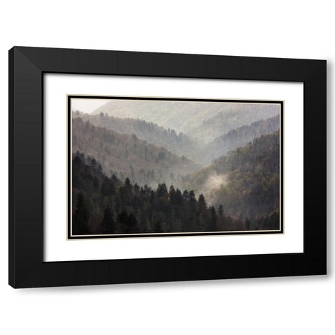 TN, Great Smoky Mts Mist rises in a valley Black Modern Wood Framed Art Print with Double Matting by Grall, Don
