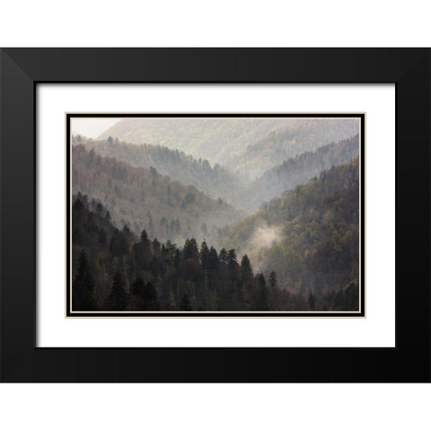 TN, Great Smoky Mts Mist rises in a valley Black Modern Wood Framed Art Print with Double Matting by Grall, Don
