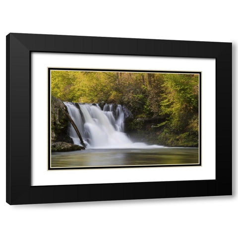 Tennessee, Great Smoky Mts Abrams Falls Black Modern Wood Framed Art Print with Double Matting by Grall, Don