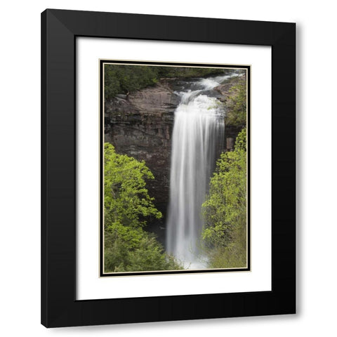 TN, Foster Falls Wild Area Waterfall scenic Black Modern Wood Framed Art Print with Double Matting by Grall, Don