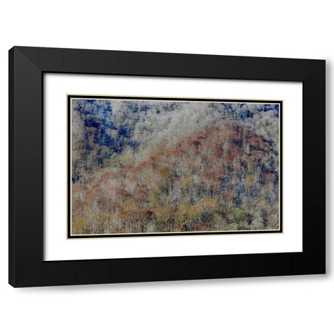 USA- Tennessee. Great Smoky Mountains National Park with late springtime snow Black Modern Wood Framed Art Print with Double Matting by Gulin, Darrell