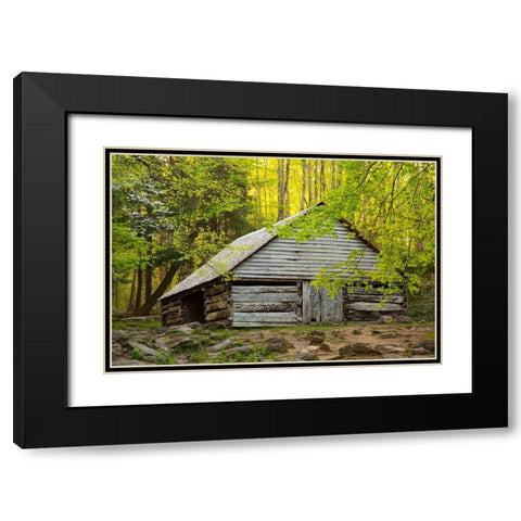 Tennessee Old barn at Bud Ogle cabin along Roaring Fork Nature Trail Black Modern Wood Framed Art Print with Double Matting by Wells, Joanne