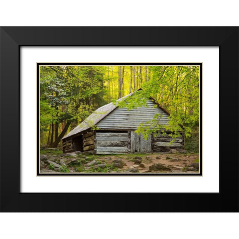 Tennessee Old barn at Bud Ogle cabin along Roaring Fork Nature Trail Black Modern Wood Framed Art Print with Double Matting by Wells, Joanne
