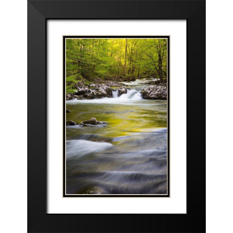 Tennessee Sparks Lane in the spring at Cades Cove Black Modern Wood Framed Art Print with Double Matting by Wells, Joanne
