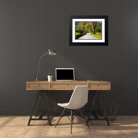 Tennessee-Sparks Lane in the spring at Cades Cove Black Modern Wood Framed Art Print with Double Matting by Wells, Joanne