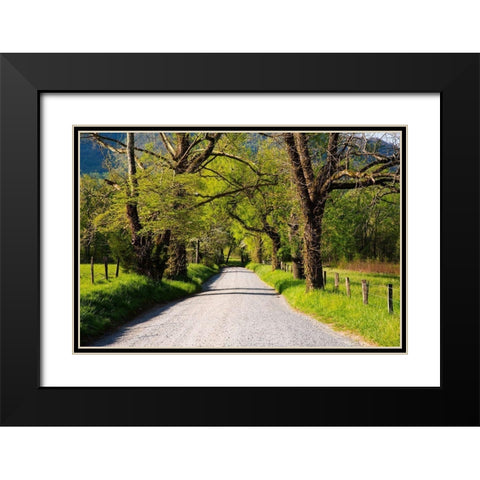 Tennessee-Sparks Lane in the spring at Cades Cove Black Modern Wood Framed Art Print with Double Matting by Wells, Joanne