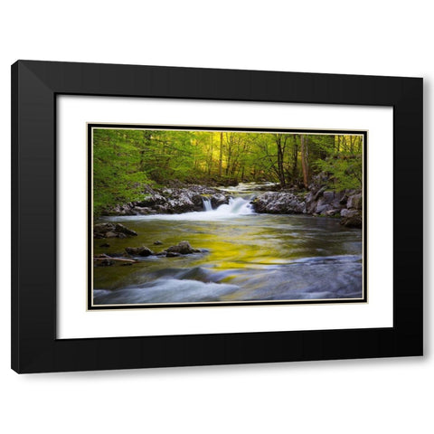 Tennessee-Evening reflections in the Little River at Tremont Black Modern Wood Framed Art Print with Double Matting by Wells, Joanne