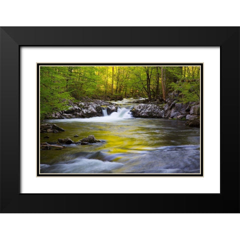Tennessee-Evening reflections in the Little River at Tremont Black Modern Wood Framed Art Print with Double Matting by Wells, Joanne