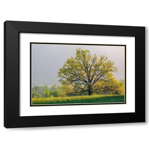 Sunrise in Cades Cove in spring-Great Smoky Mountains National Park-Tennessee Black Modern Wood Framed Art Print with Double Matting by Day, Richard and Susan